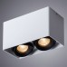 Светильник накладной Arte Lamp PICTOR A5654PL-2WH
