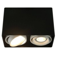 Светильник накладной Arte Lamp Pictor A5655PL-2BK