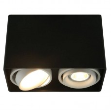 Светильник накладной Arte Lamp Pictor A5655PL-2BK