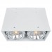 Светильник накладной потолочный Arte Lamp CARDANI A5936PL-2WH