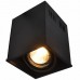 Светильник накладной потолочный Arte Lamp CARDANI A5942PL-1BK