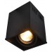 Светильник накладной потолочный Arte Lamp CARDANI A5942PL-1BK