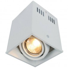 Светильник накладной потолочный Arte Lamp CARDANI A5942PL-1WH