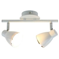Спот светодиодный Arte Lamp A6008PL-2WH