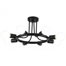 Люстра потолочная Arte Lamp Highgarden A6063PL-8BK