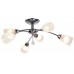 Потолочная люстра Arte Lamp GIULIA A6198PL-6CC