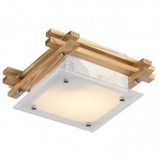 Светильник настенно-потолочный Arte Lamp ARCHIMEDE A6460PL-1BR