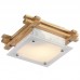 Светильник настенно-потолочный Arte Lamp ARCHIMEDE A6460PL-1BR