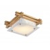 Светильник настенно-потолочный Arte Lamp ARCHIMEDE A6460PL-1BR