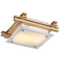 Светильник настенно-потолочный Arte Lamp ARCHIMEDE A6460PL-2BR