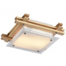 Светильник настенно-потолочный Arte Lamp ARCHIMEDE A6460PL-2BR