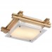 Светильник настенно-потолочный Arte Lamp ARCHIMEDE A6460PL-2BR