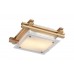 Светильник настенно-потолочный Arte Lamp ARCHIMEDE A6460PL-2BR