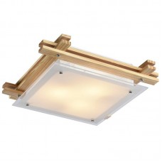 Светильник настенно-потолочный Arte Lamp ARCHIMEDE A6460PL-3BR