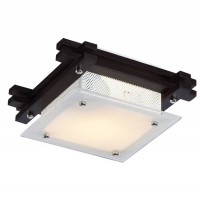 Светильник настенно-потолочный Arte Lamp ARCHIMEDE A6462PL-1CK
