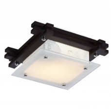 Светильник настенно-потолочный Arte Lamp ARCHIMEDE A6462PL-1CK