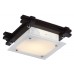 Светильник настенно-потолочный Arte Lamp ARCHIMEDE A6462PL-1CK