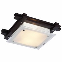 Светильник настенно-потолочный Arte Lamp ARCHIMEDE A6462PL-2CK
