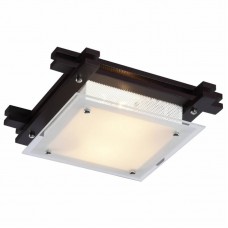 Светильник настенно-потолочный Arte Lamp ARCHIMEDE A6462PL-2CK