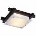 Светильник настенно-потолочный Arte Lamp ARCHIMEDE A6462PL-2CK