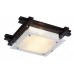 Светильник настенно-потолочный Arte Lamp ARCHIMEDE A6462PL-2CK