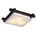 Светильник настенно-потолочный Arte Lamp ARCHIMEDE A6462PL-3CK Светильник настенно-потолочный Arte Lamp ARCHIMEDE A6462PL-3CK