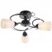 Люстра потолочная Arte Lamp ALESSIA A6545PL-3BC