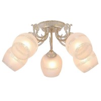 Люстра потолочная Arte Lamp Sofia A7060PL-5WG