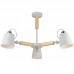 Люстра потолочная Arte Lamp Oscar A7141PL-3WH