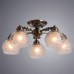 Люстра потолочная Arte Lamp MALINA A7695PL-5AB