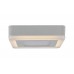 Светильник накладной потолочный светодиодный Arte Lamp A7709PL-2WH