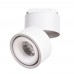 Светильник трековый Arte Lamp ARCTURUS A7716PL-1WH