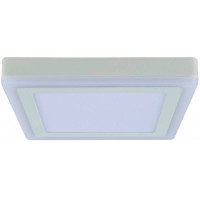 Светильник накладной потолочный светодиодный Arte Lamp A7724PL-2WH