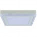 Светильник накладной потолочный светодиодный Arte Lamp A7724PL-2WH