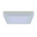 Светильник накладной потолочный светодиодный Arte Lamp A7724PL-2WH