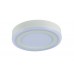 Светильник накладной потолочный светодиодный Arte Lamp A7816PL-2WH