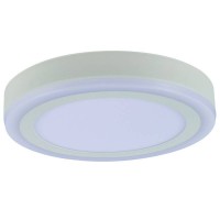 Светильник накладной потолочный светодиодный Arte Lamp A7824PL-2WH