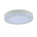 Светильник накладной потолочный светодиодный Arte Lamp A7824PL-2WH