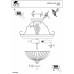 Потолочный светильник Arte Lamp Selection A7835PL-2AB
