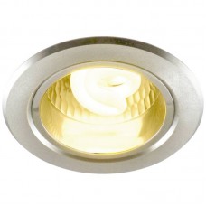 Точечный светильник Arte Lamp A8043PL-1SI Technika cfl
