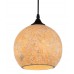 Светильник подвесной Arte Lamp A8076SP-1BK