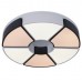 Светильник потолочный Arte Lamp MULTI-PIAZZA A8083PL-6WH