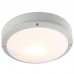 Уличный светильник Arte Lamp A8154PF-2GY Dumbi