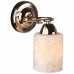 Бра Arte lamp A8164AP-1GO Daniella