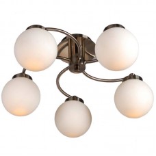 Потолочная люстра Arte Lamp Cloud A8170PL-5SS