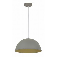 Светильник подвесной Arte Lamp A8173SP-1GY