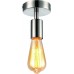 Светильник потолочный Arte Lamp FUORI A9184PL-1SS