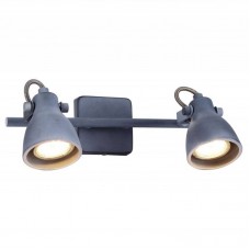 Спот Arte Lamp Gotto A9189AP-2GY
