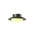 Светильник потолочный Arte Lamp A9256PL-1BG