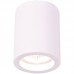 Накладной светильник Arte Lamp TUBO A9260PL-1WH